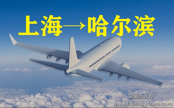 上海到哈爾濱空運(yùn)