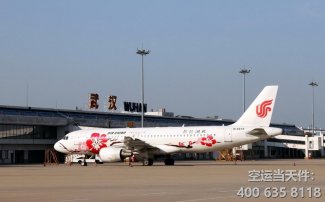 武漢空運(yùn)價(jià)格_武漢天河機(jī)場(chǎng)2020年航空托運(yùn)最新收費(fèi)標(biāo)準(zhǔn)